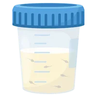 Donor Programme